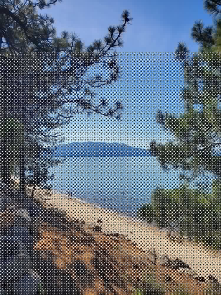 Bluebird Day Inn & Suites 47/68