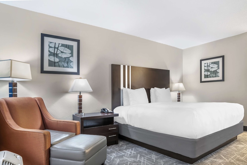 Standard, King Bed