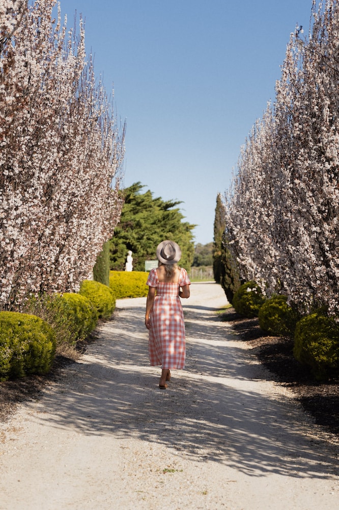 Barossa Shiraz Estate 38/50