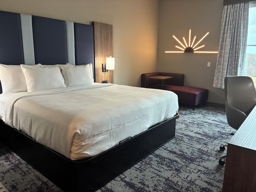 La Quinta Inn & Suites by Wyndham Athens 18/49
