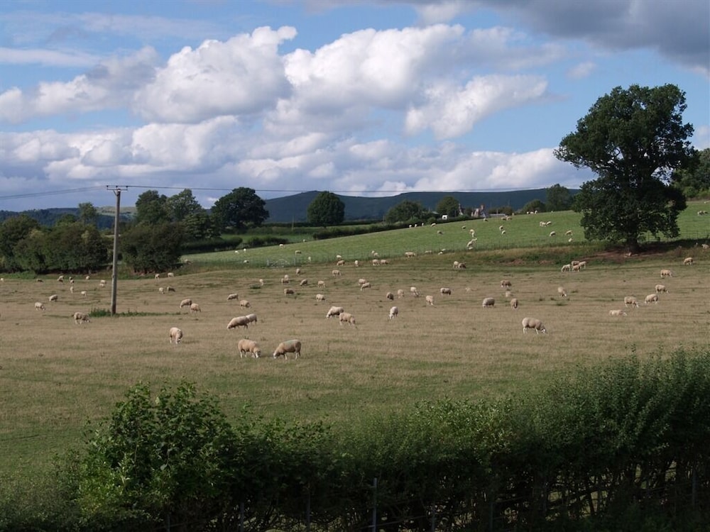 Quixhill Denstone - Exmoor B&amp;B 13/17