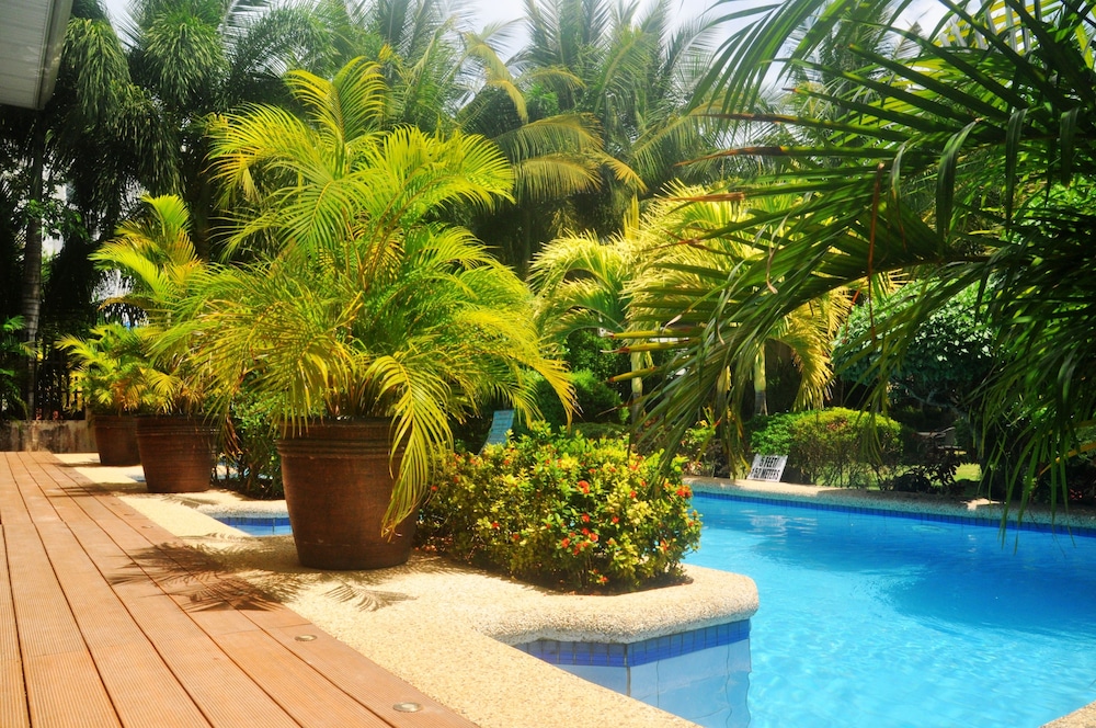 Alona Golden Palm Resort 27/47