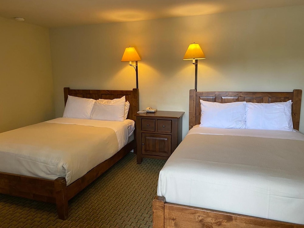 Olympia Lodge 12/39