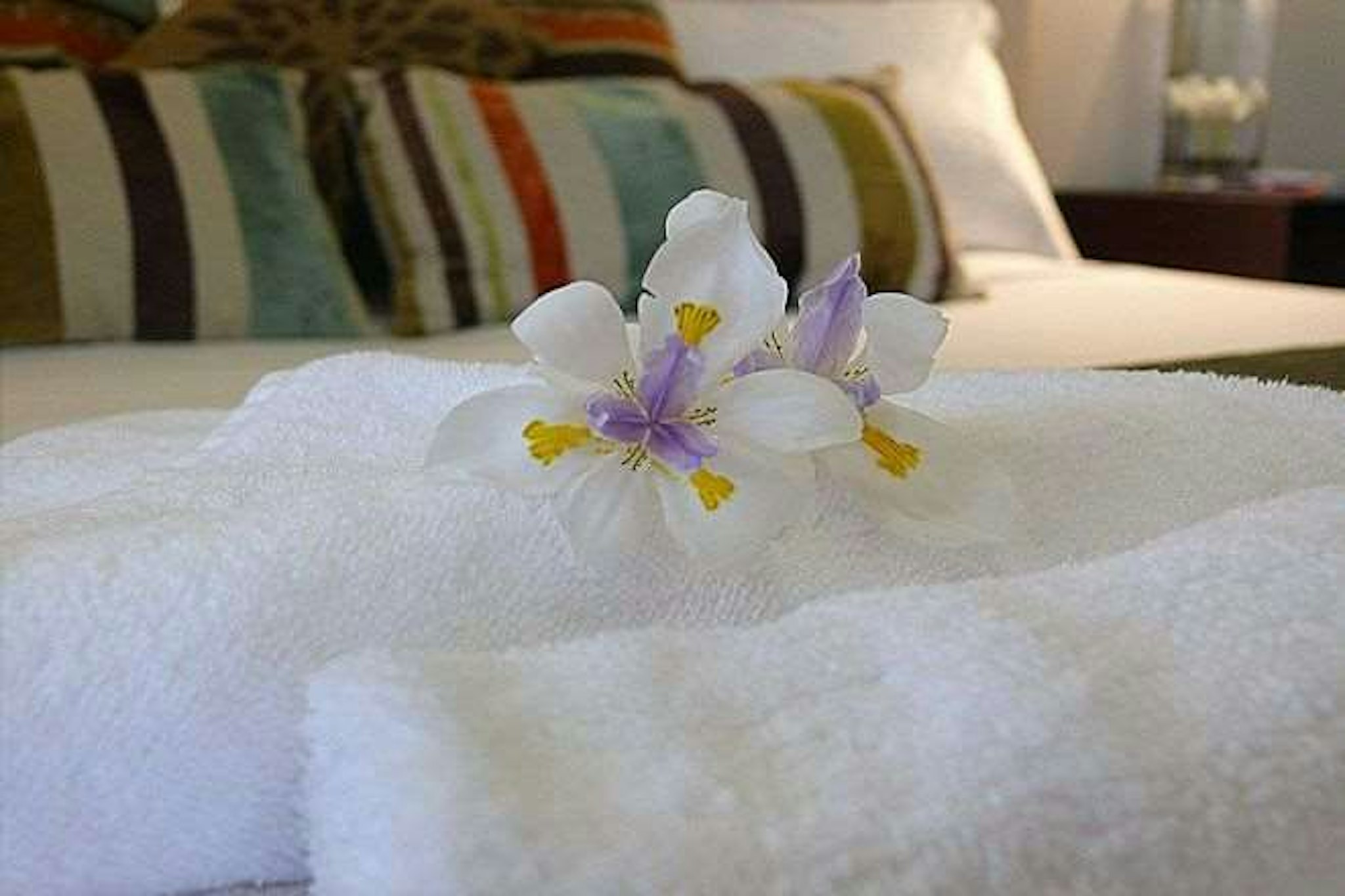 Highfields Motel Toowoomba 22/37