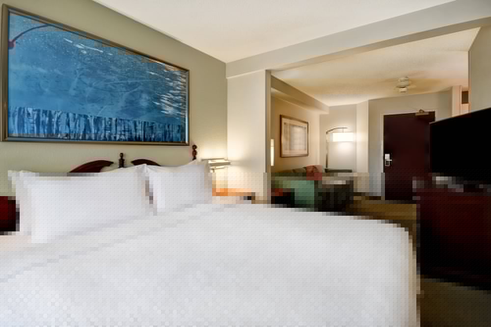 Springhill Suites Atlanta Buford Mall of Georgia 7/50