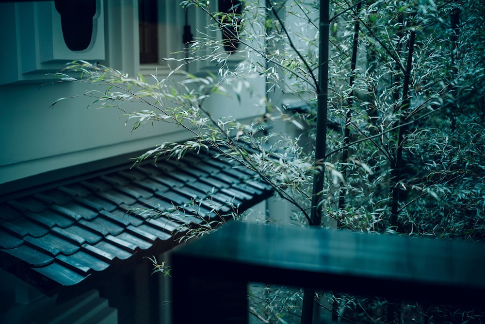 The Hiramatsu Kyoto 25/48