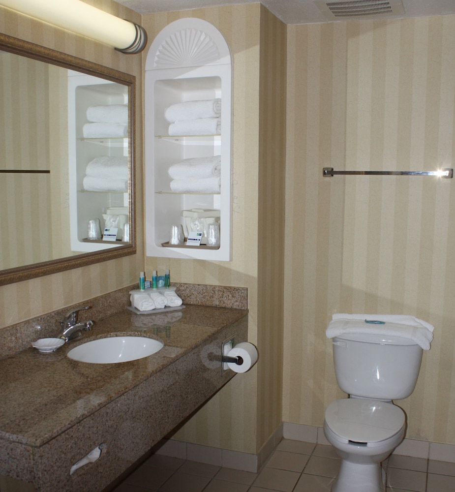 Holiday Inn Express Hotel & Suites Spring Hill 31/69