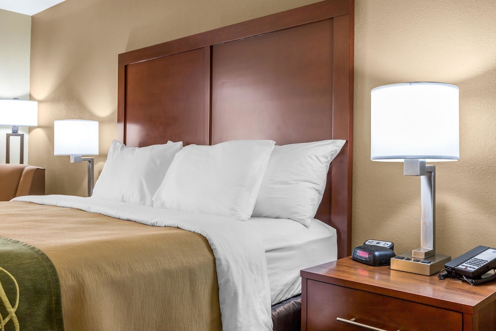 Comfort Inn Collinsville near St. Louis 16/46
