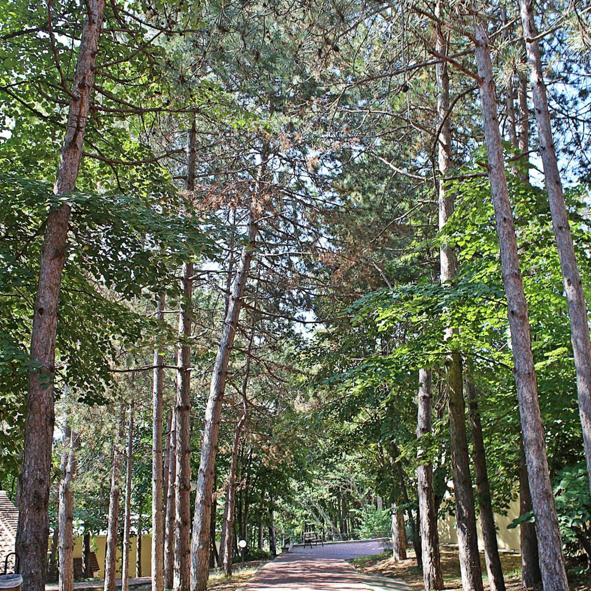 Duni Royal Holiday Village 43/49