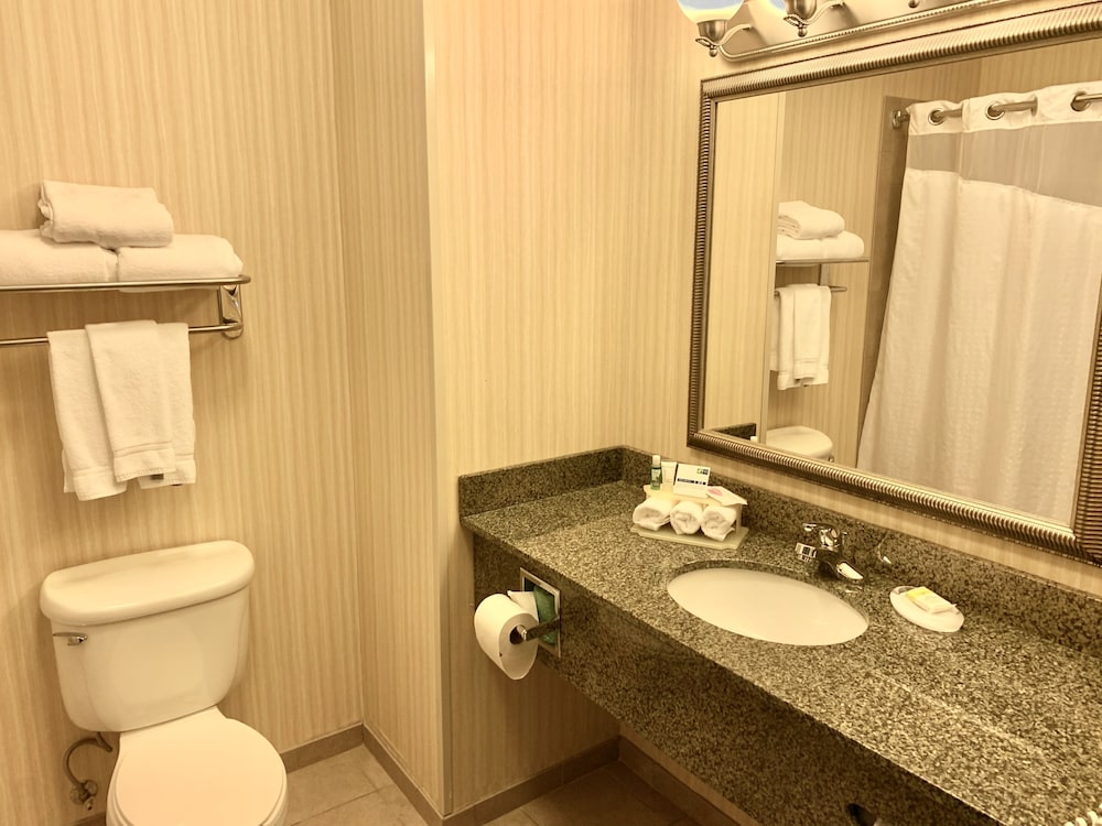 Holiday Inn Express & Suites Dewitt (Syracuse) 21/61