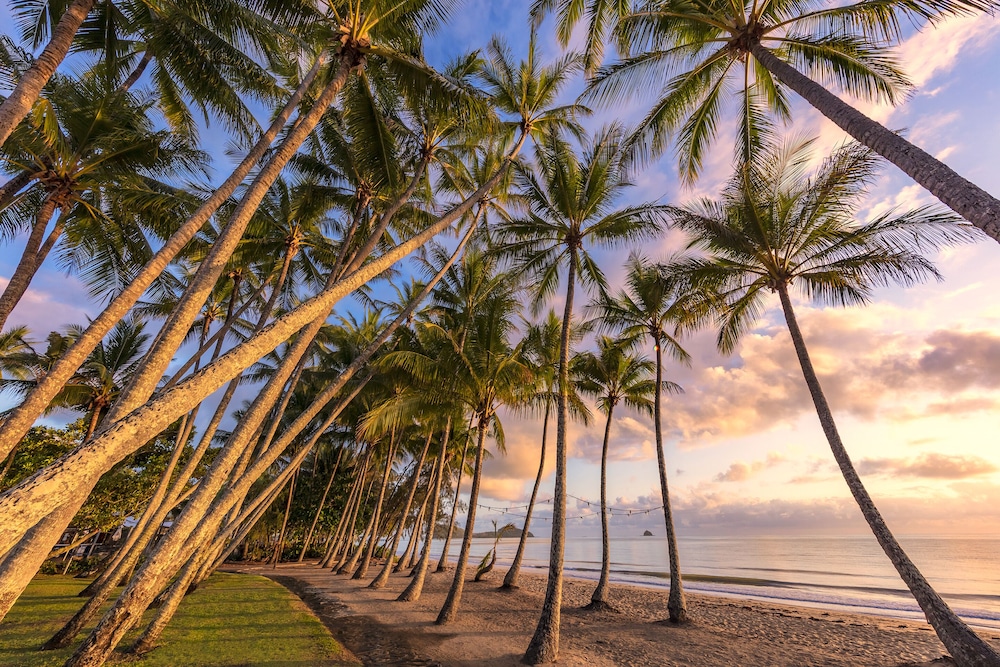 Drift Palm Cove 61/71