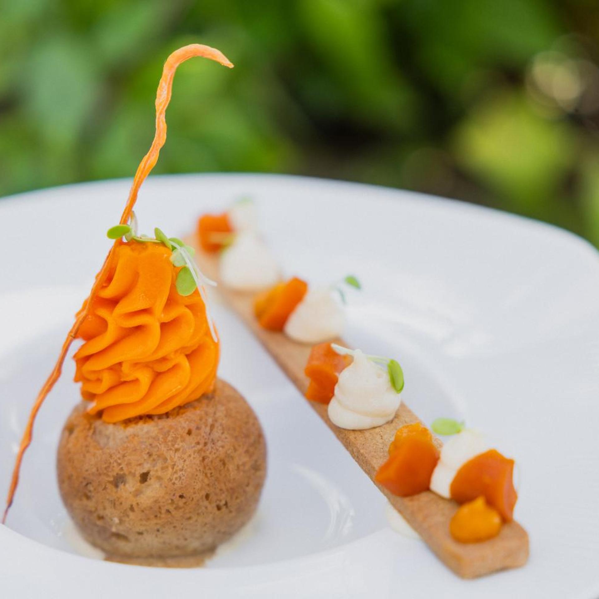 Relais Du Silence La Gree Des Landes Eco Hotel Spa Yves Rocher 23/50