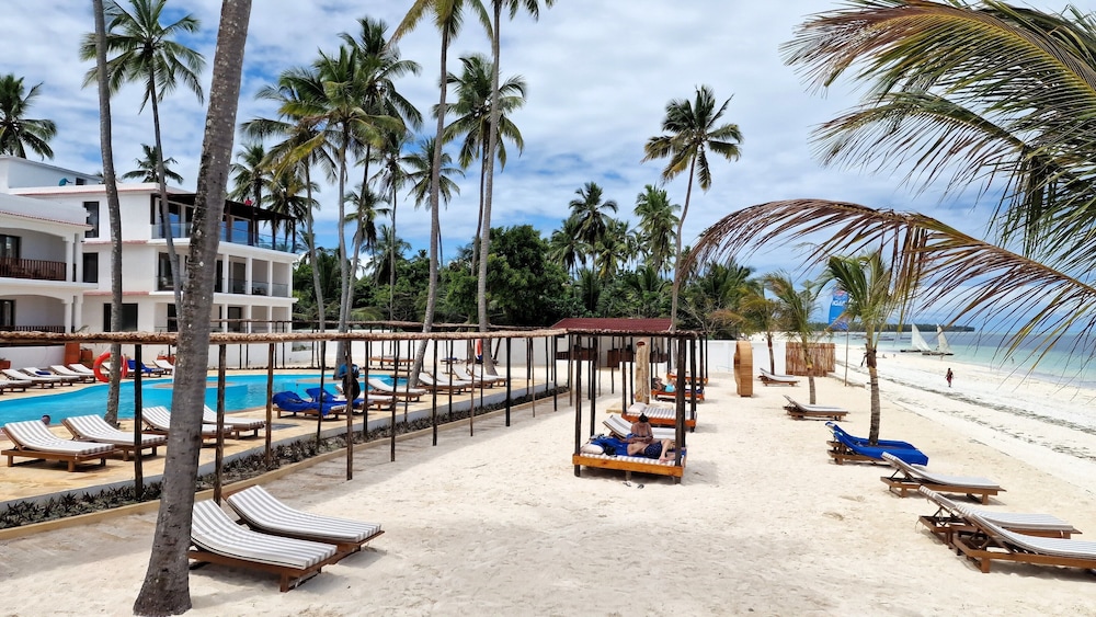 Dream of Zanzibar 39/50