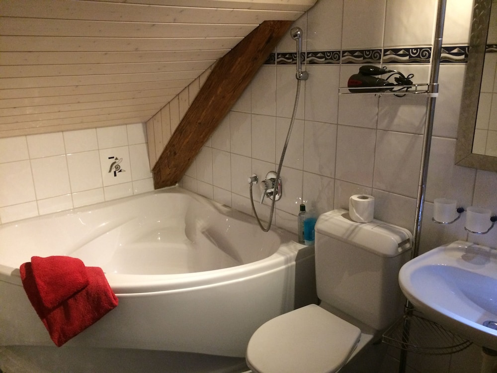 Historic Hotel Steinbock 47/50