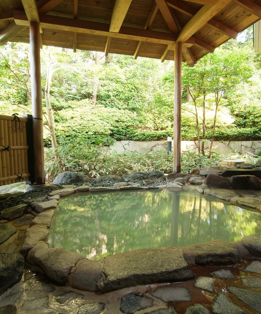Ryokan Kiritani Hakoneso 23/50