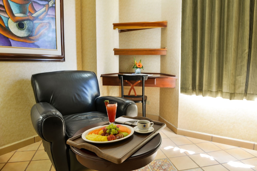 Hotel Plaza Del General 28/37