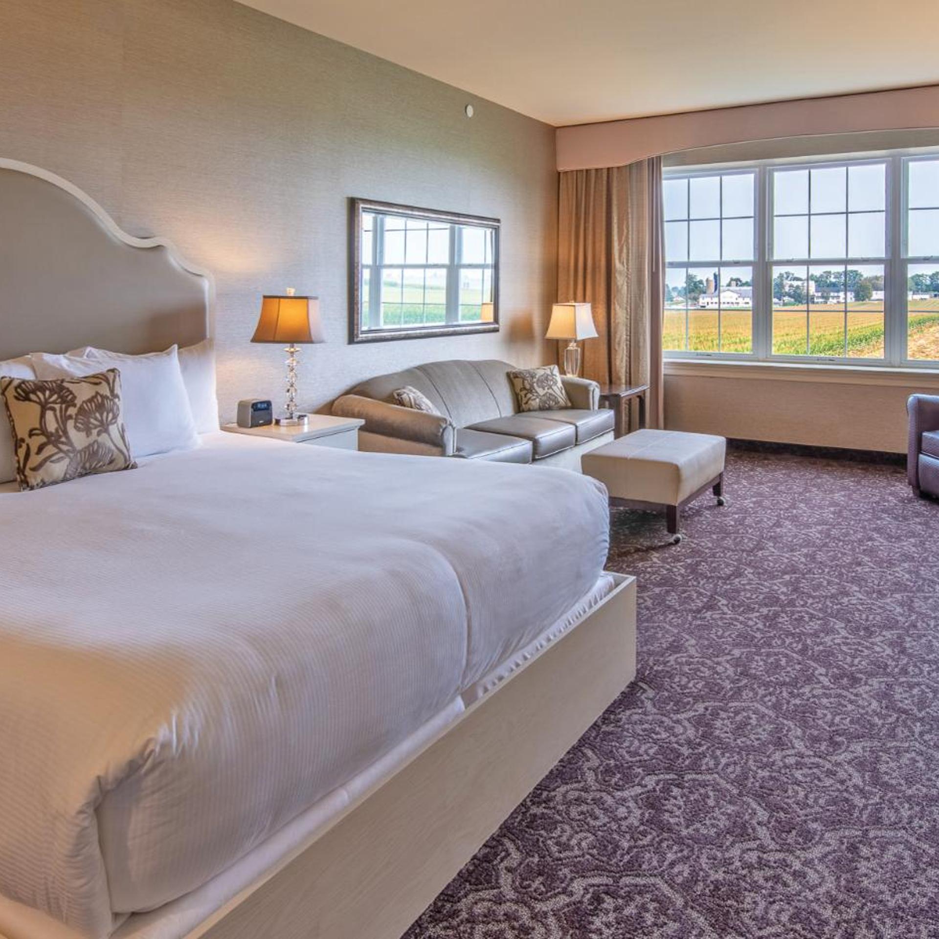 Room, King Bed, Adult Only