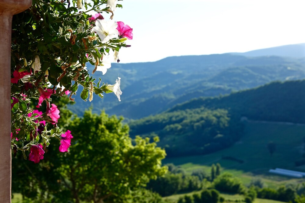 Borgo di Gallano 39/50