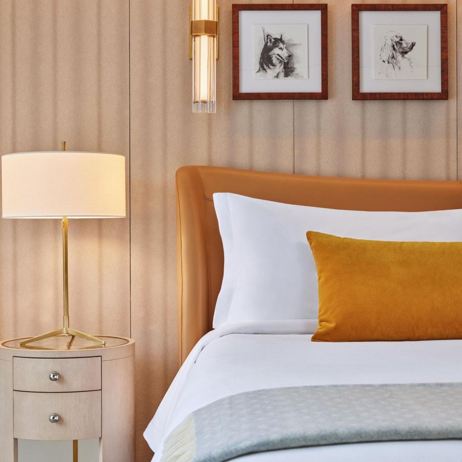 St Regis Aspen Resort 19/50