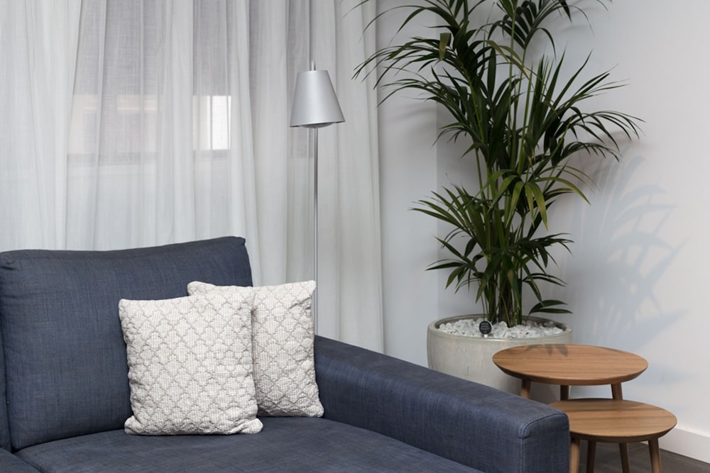 Suites 1478 34/50