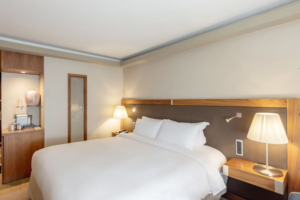 Sofitel Lyon Bellecour Hotel 26/71