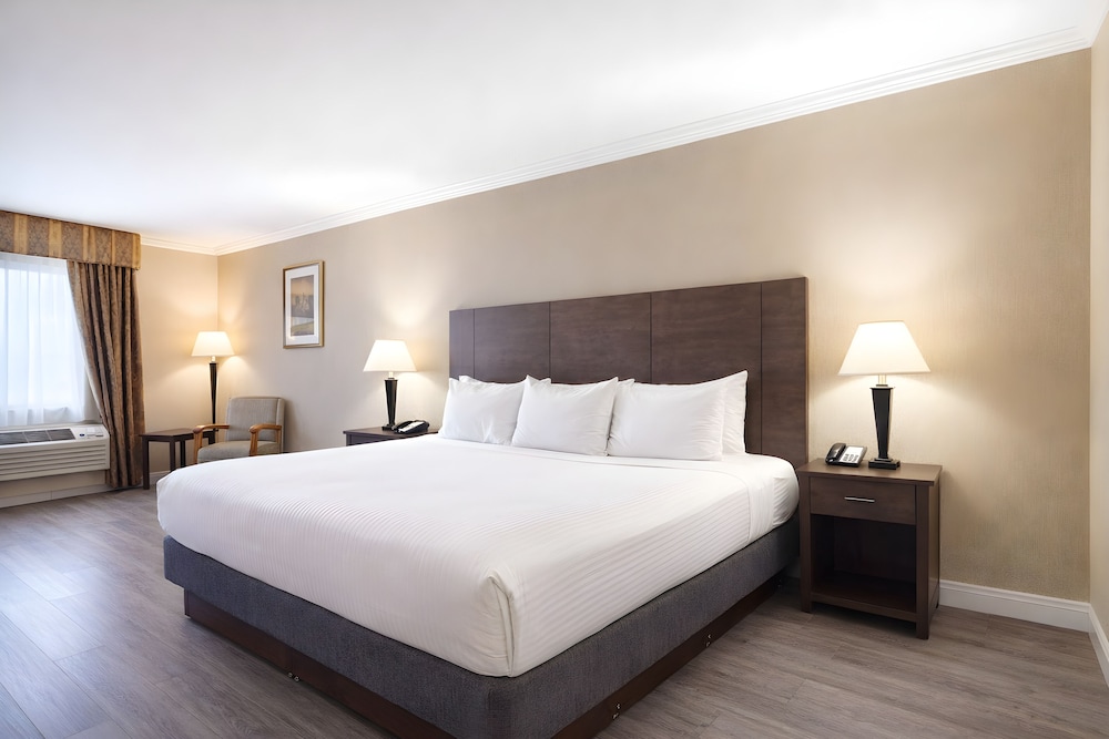 غرفة قياسية بسرير كينج، Best Western Davison Inn 4/10