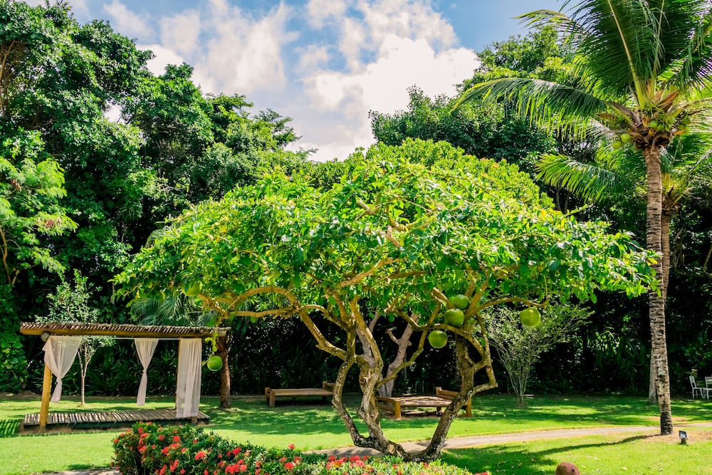 Bosque Do Porto Praia Hotel 5/69