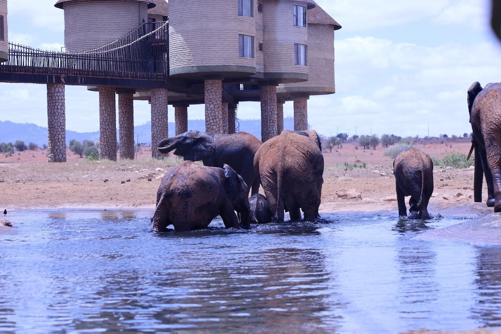 Salt Lick Safari Lodge 46/55