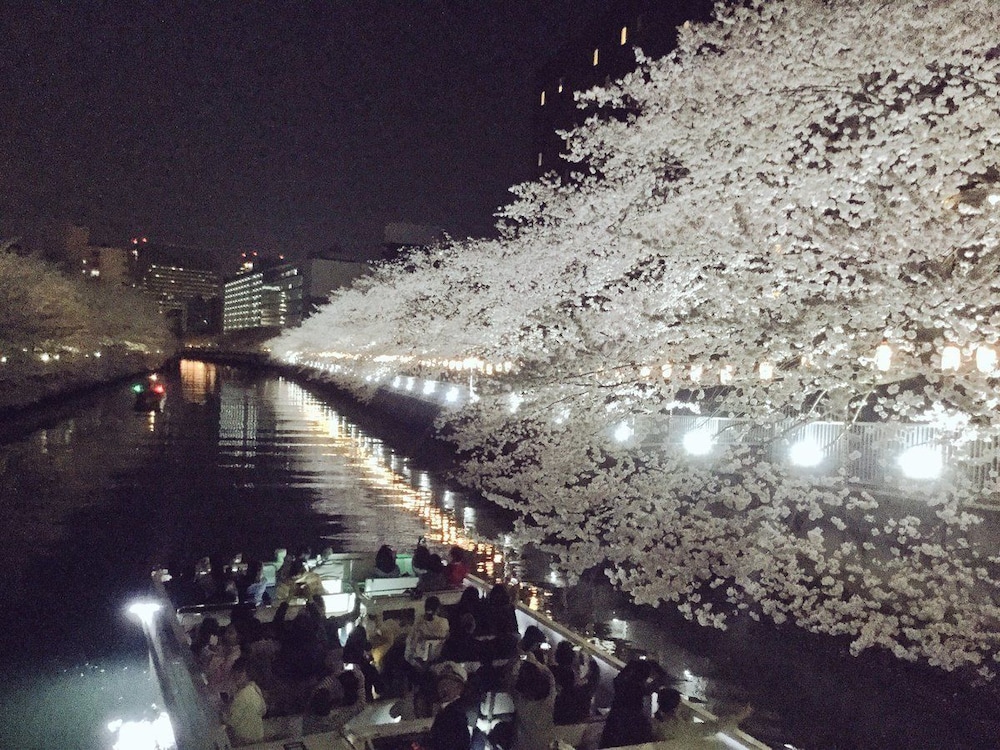 Day Nice Hotel Tokyo 39/43