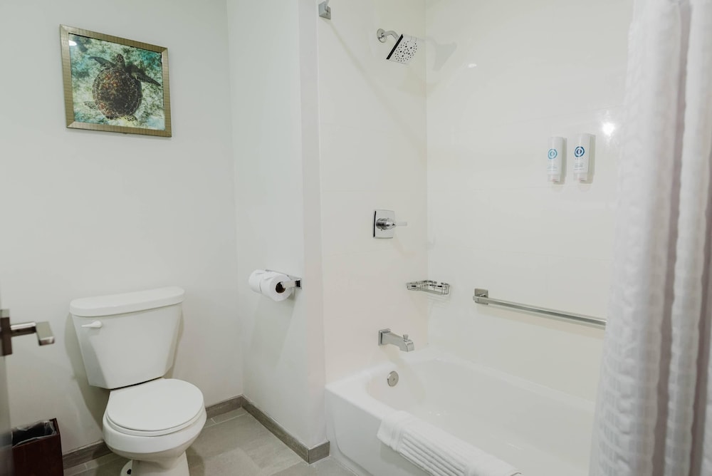 Comfort Inn & Suites Tobago 48/50
