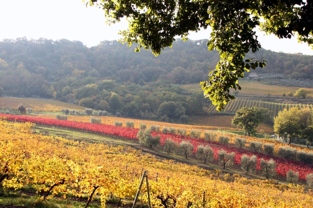 Altarocca Wine Resort 45/50