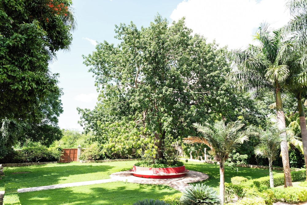 Hacienda Yabucu 39/50
