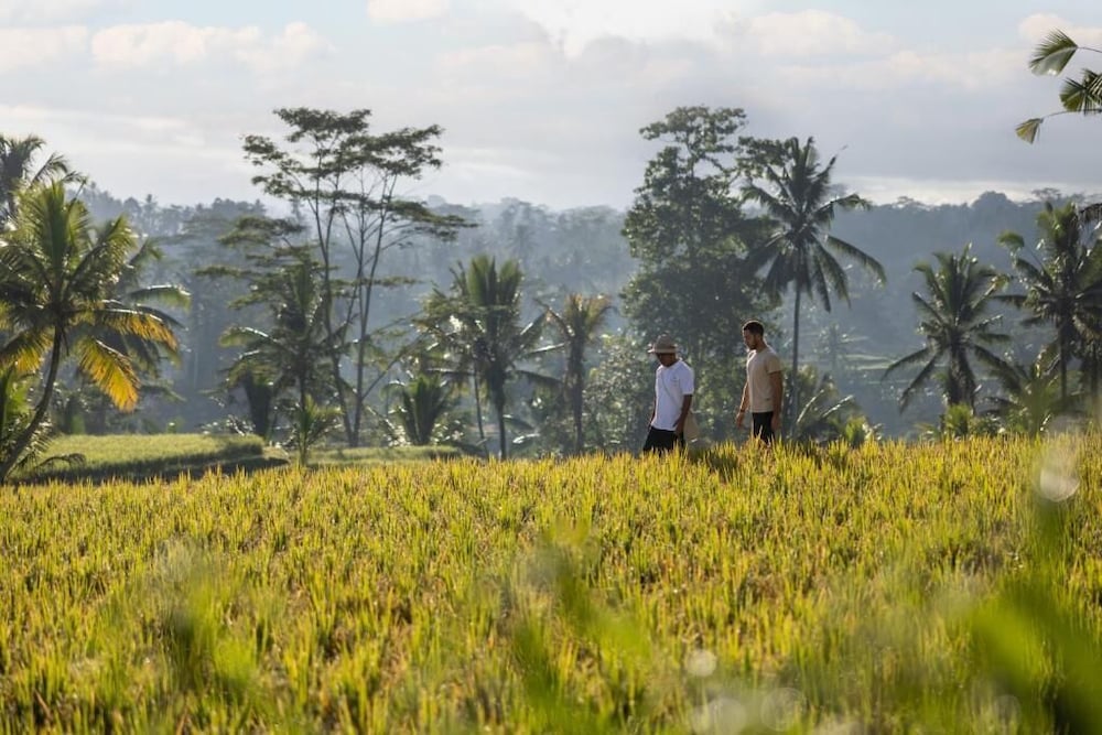 Wapa Di Ume Ubud 46/49