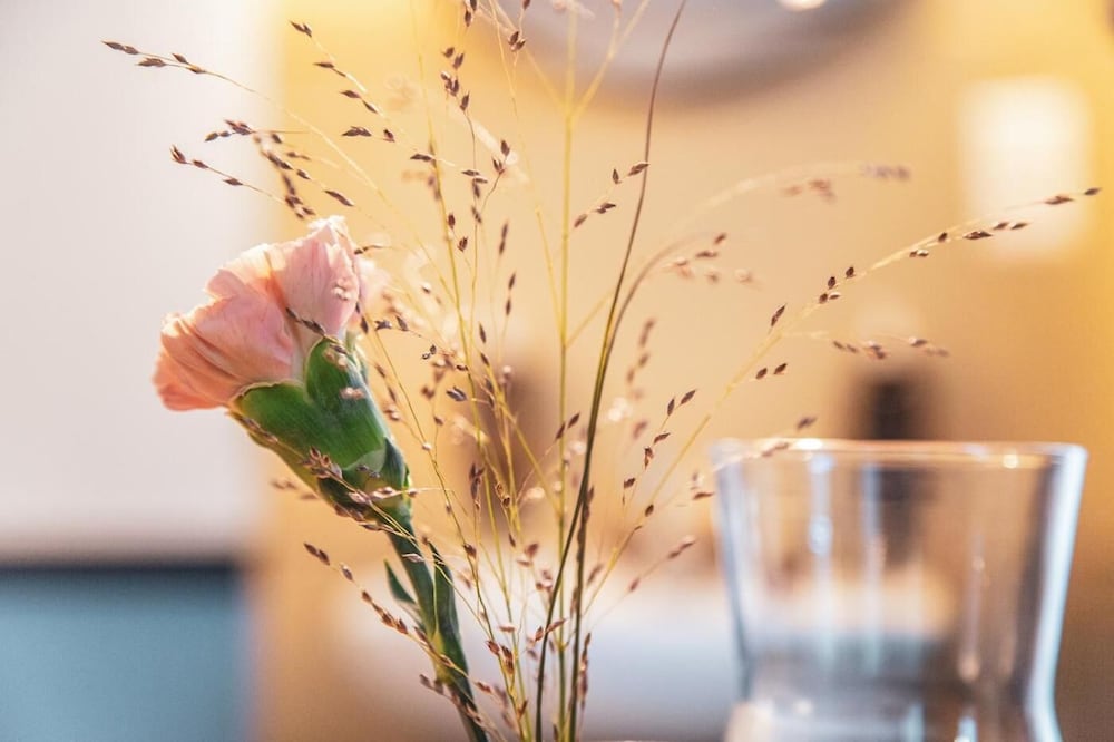 Pop Up Hotel Krone Zurich 25/43