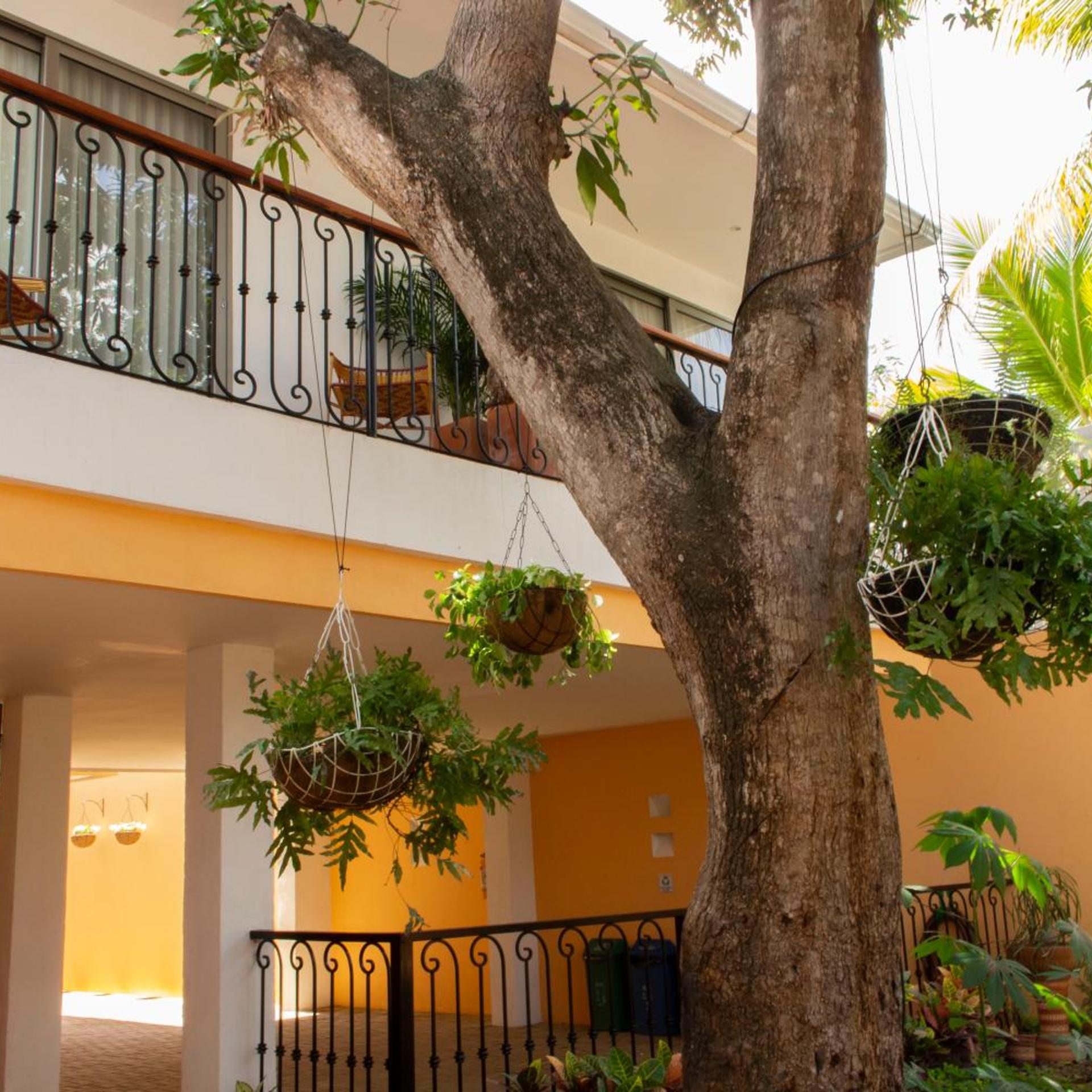 Hotel La Gloria 5/63