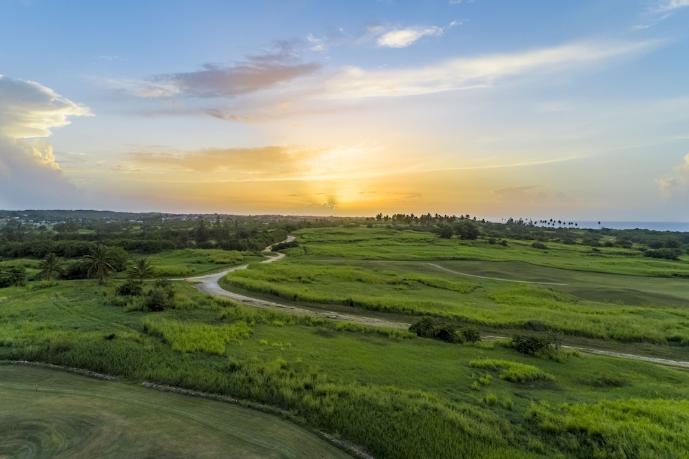 Royal Isabela 41/49