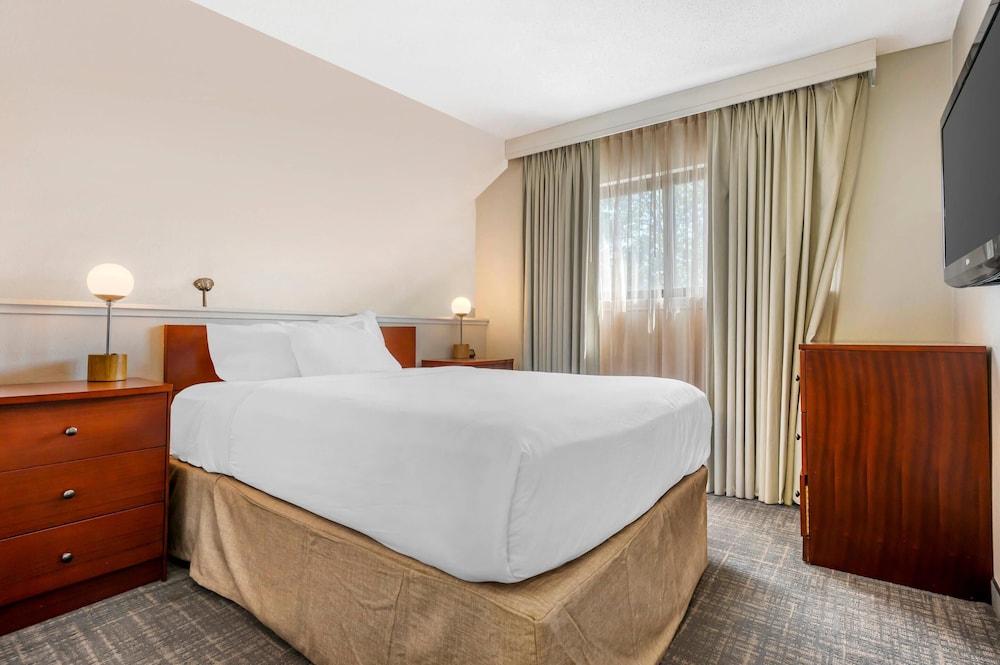 SUITE, KING AND QUEEN BED