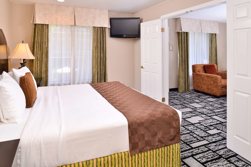Best Western Plus Meridian Inn & Suites, Anaheim-Orange 12/31