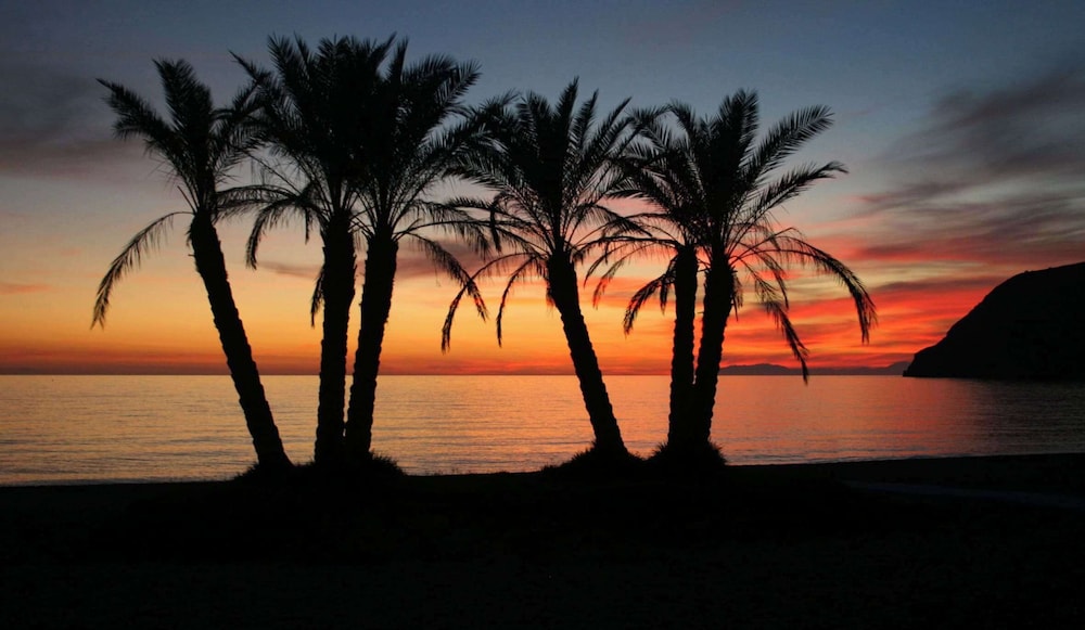 Sol Los Fenicios Hotel - Adults Only 43/51
