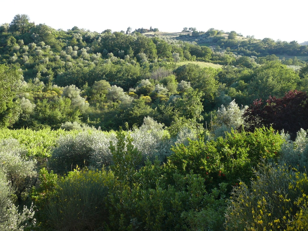 Melograno B&B 19/28