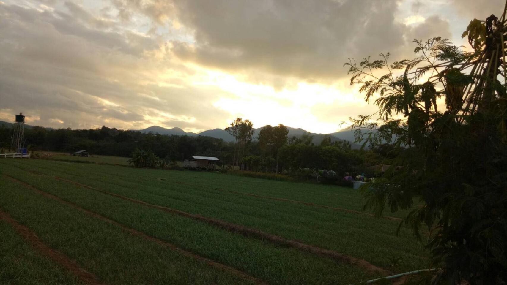 Aether Pai Villa 48/64