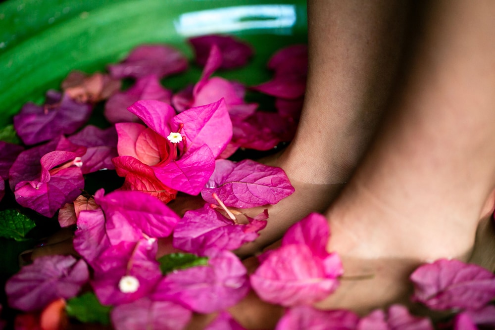 Blue Osa Yoga Retreat &amp; Spa 15/50