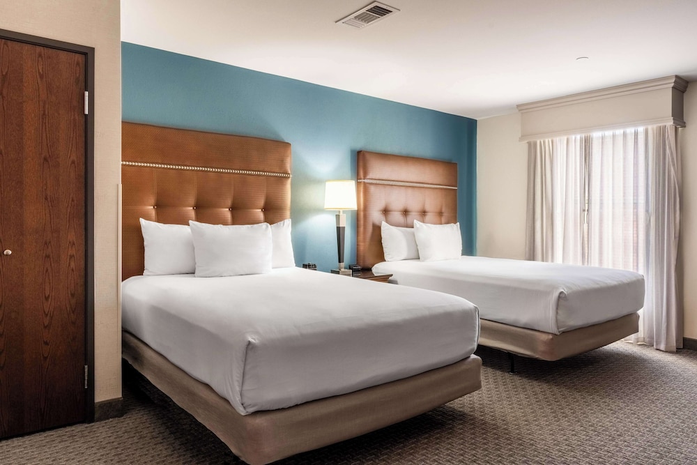 Drury Plaza Hotel Broadview Wichita 18/50