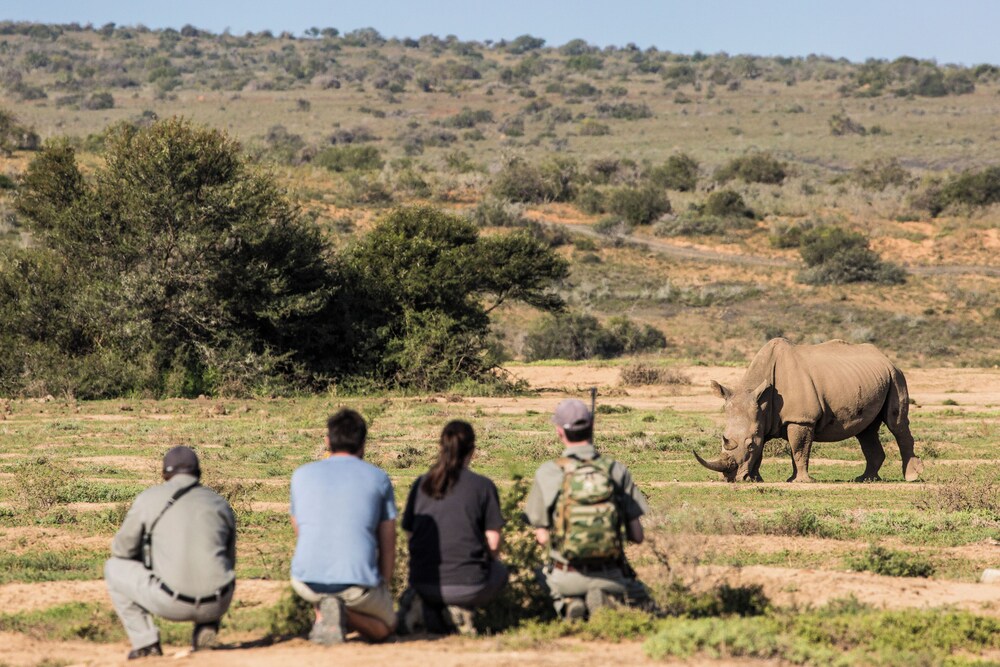 Kwandwe Private Game Reserve 34/50