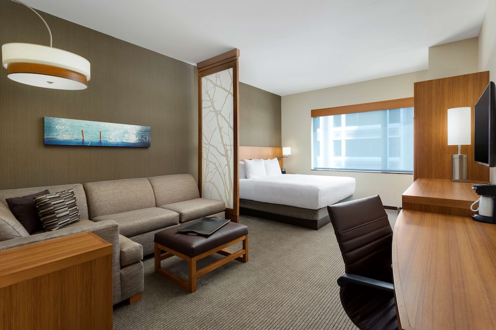 Hyatt Place Chicago Downtown - The Loop 41/63