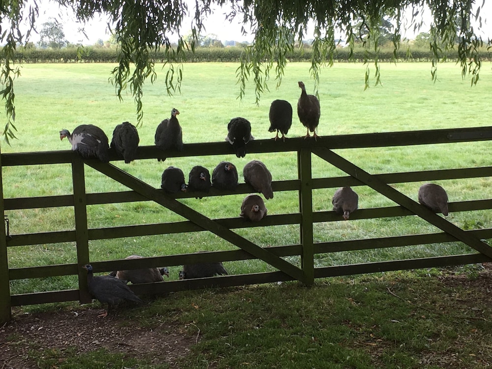 Brickfields Farm 29/47