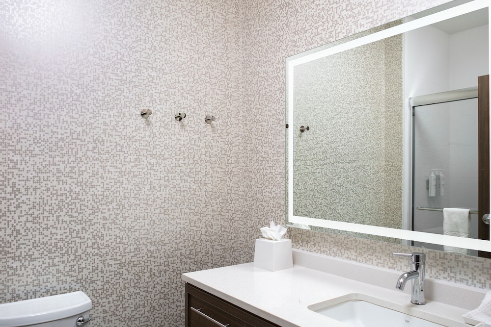 Home2 Suites by Hilton Baton Rouge Citiplace 14/39