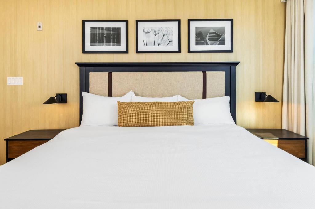 Efficiency, Suite, King Bed