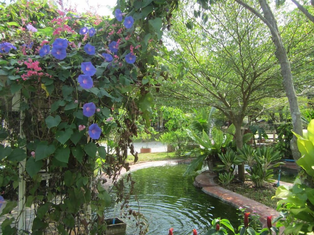 Cowboy Farm Resort Pattaya 29/39