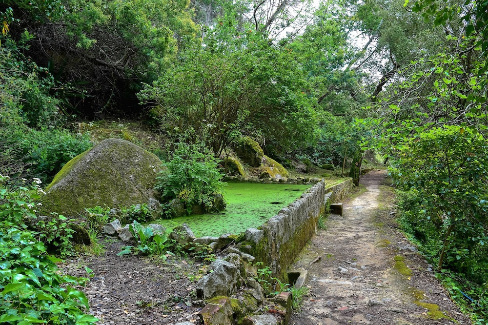 Caldas de Monchique - Villa Termal SPA Hotel 46/60